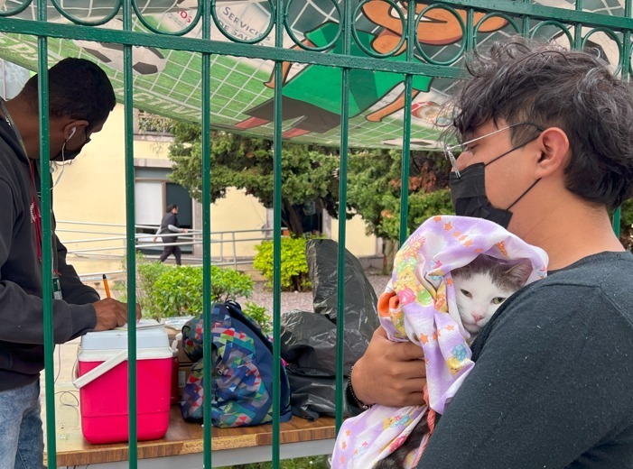 ESTE DOMINGO INICIA VACUNACIÓN ANTIRRÁBICA PARA PERROS Y GATOS
