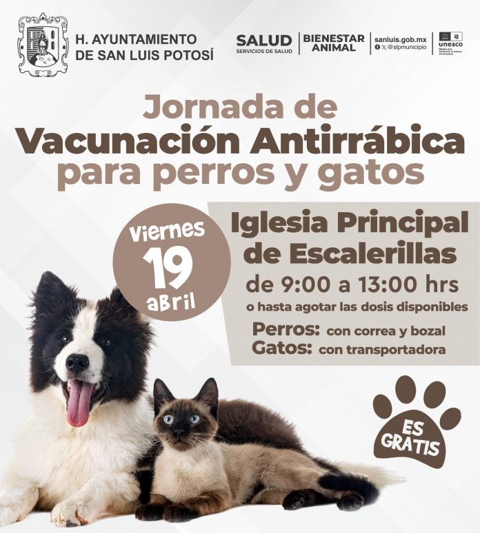 Ayuntamiento de SLP realizará jornada de vacunación antirrábica gratuita