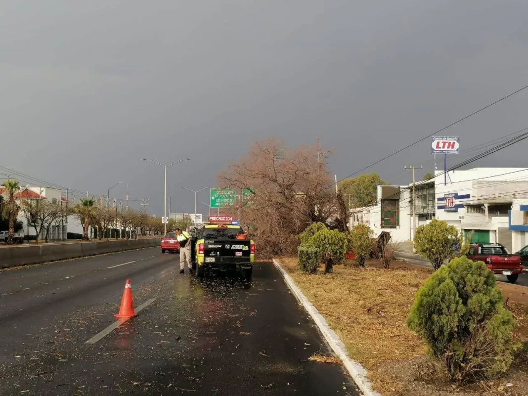Gobierno Municipal refuerza atención a emergencias tras lluvias y fuertes vientos