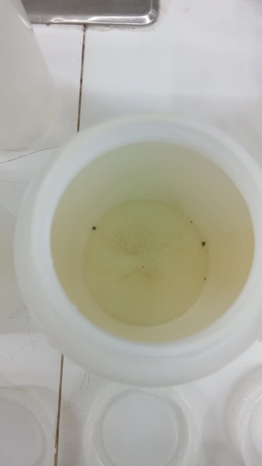 INTERAPAS detecta agua con coloración procedente de “El Realito” y mantiene monitoreo de calidad