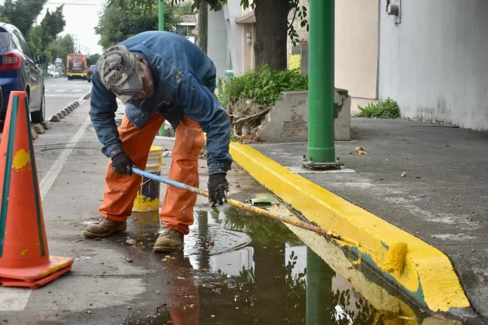 Servicios Municipales avanza en la renovación y regeneración urbana de San Luis Capital