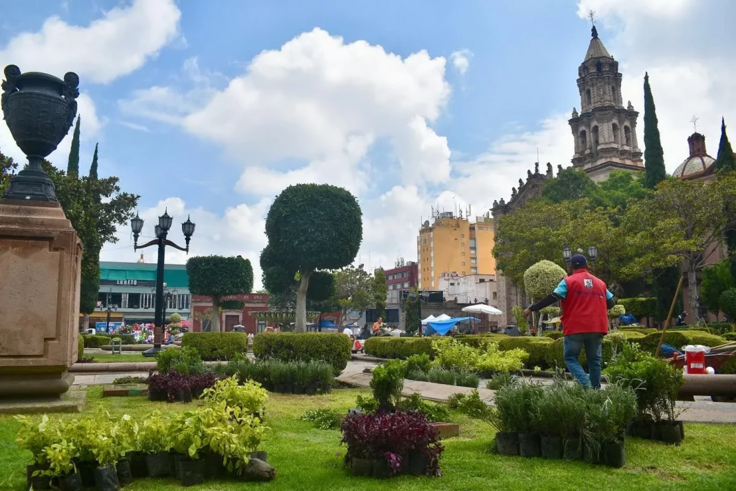 Gobierno de la Capital embellece la Plaza del Carmen con reforestación ornamental