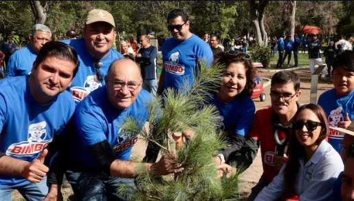Unidos por un San Luis más arbolado: Ayuntamiento de SLP y Grupo Bimbo reforestan el parque Morales