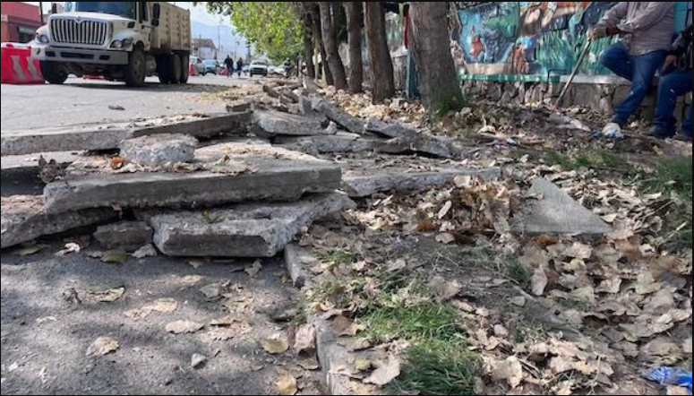 Gobierno de la Capital rehabilita banqueta dañada por raíces en Coronel Romero, tras reporte ciudadano